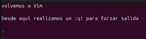 linux_admarch_backtovim.png