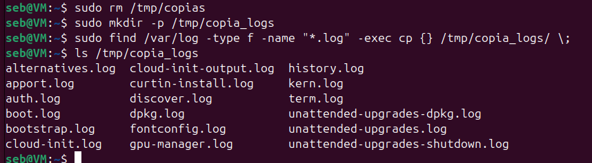linux_admarch_sudo_rm.png